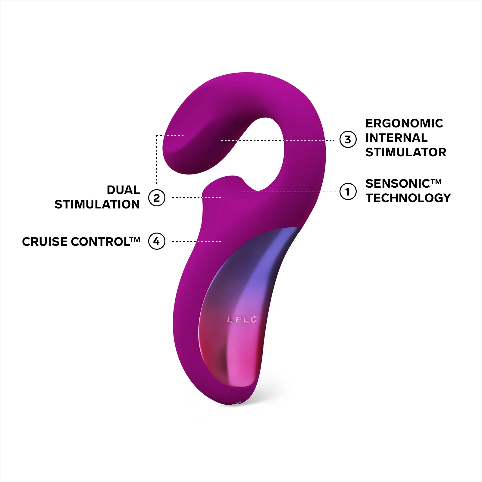 ENIGMA Cruise - Image 4