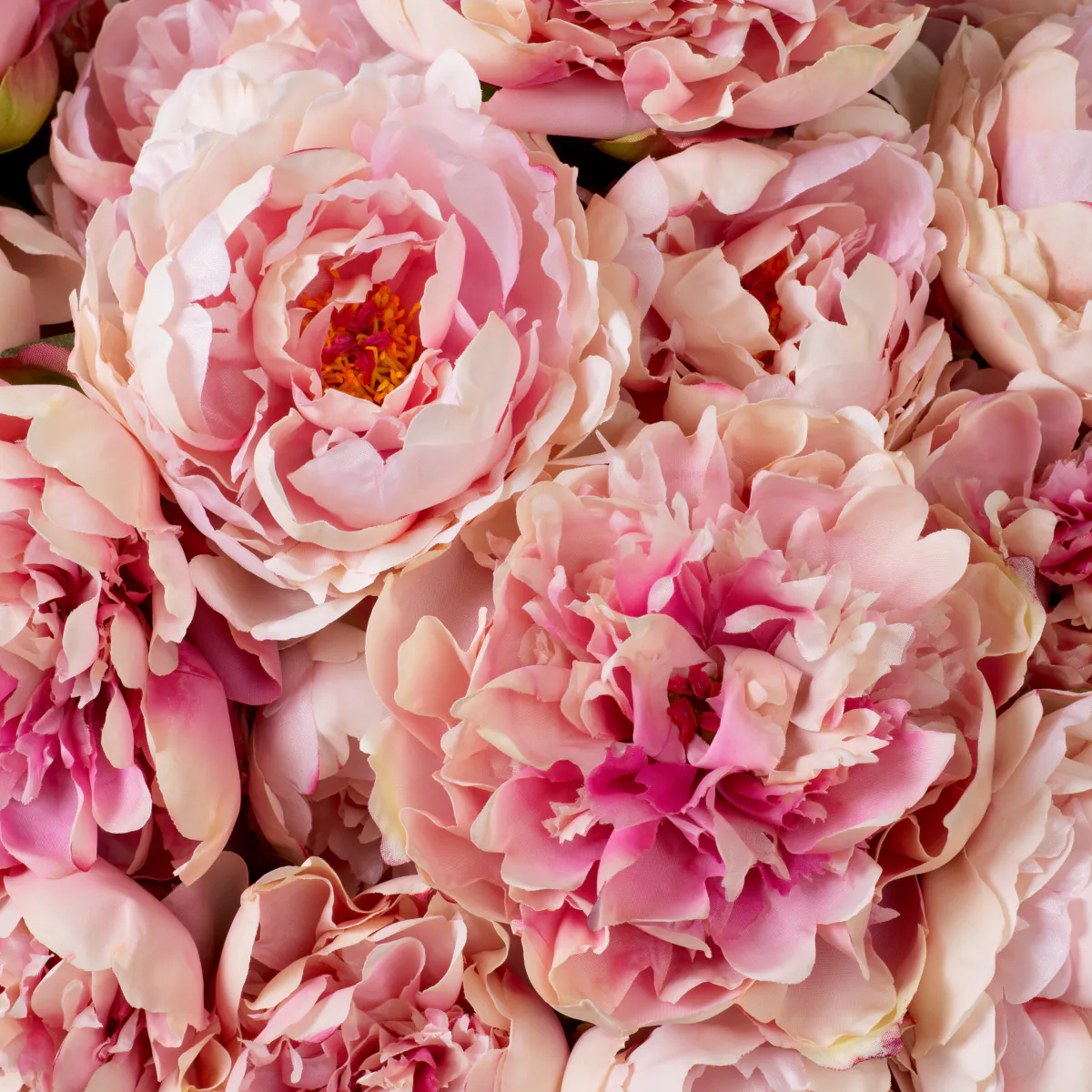 Bouquet Of Peonies Real Touch 48 pcs - Image 3