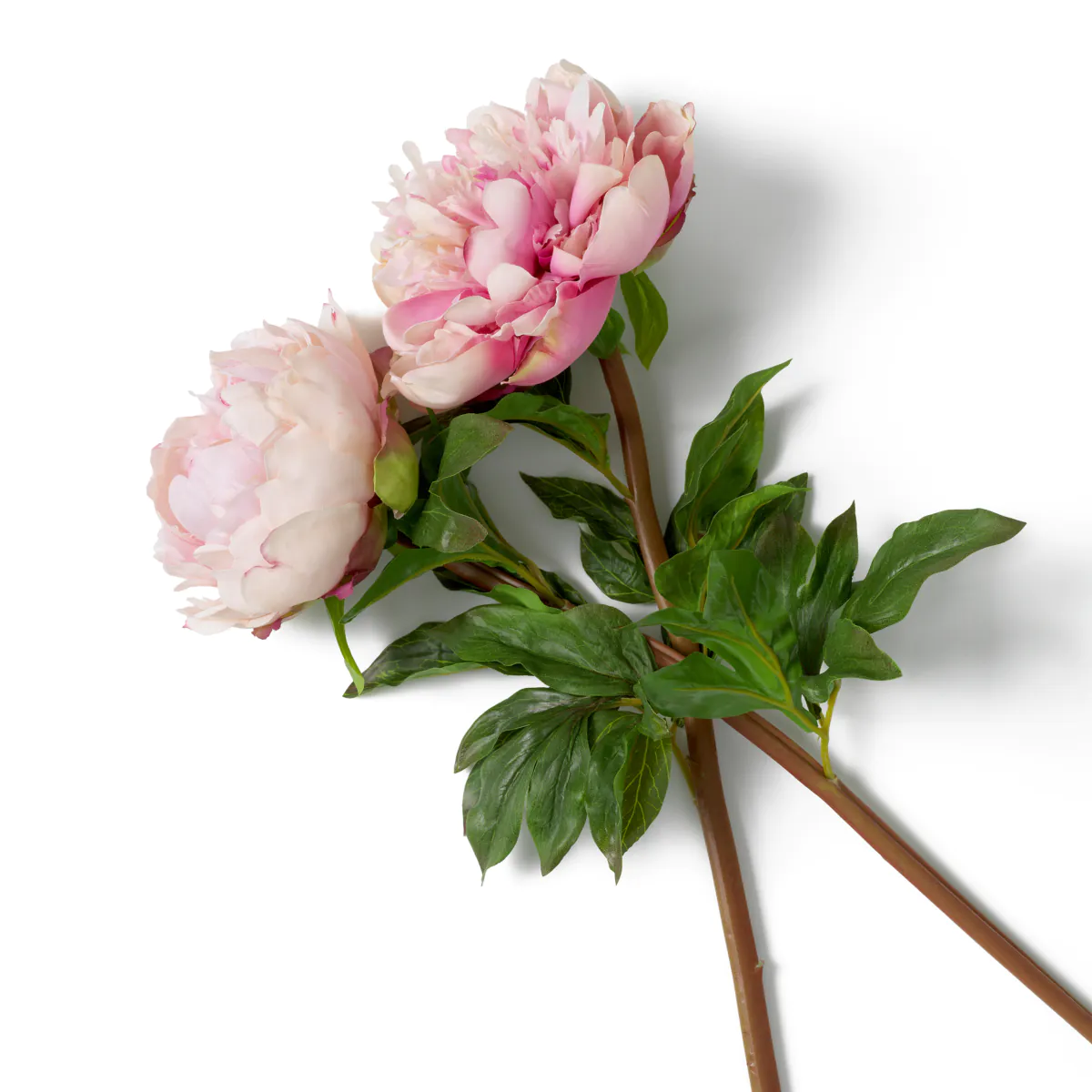Bouquet Of Peonies Real Touch 48 pcs - Image 4