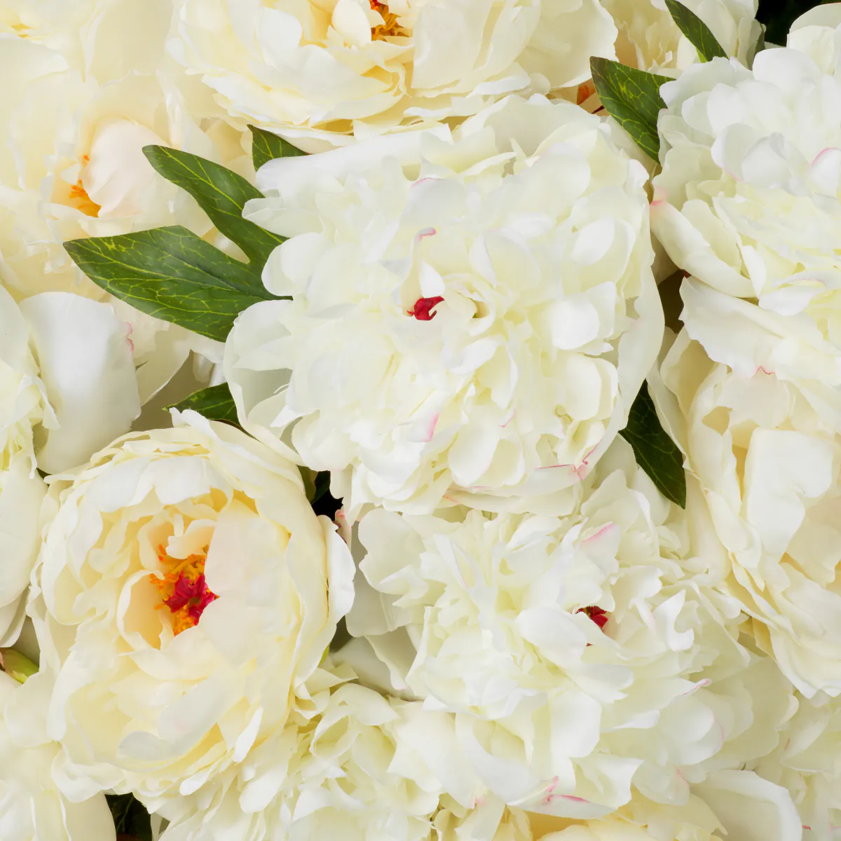 Bouquet Of Peonies Real Touch 48 pcs - Image 7