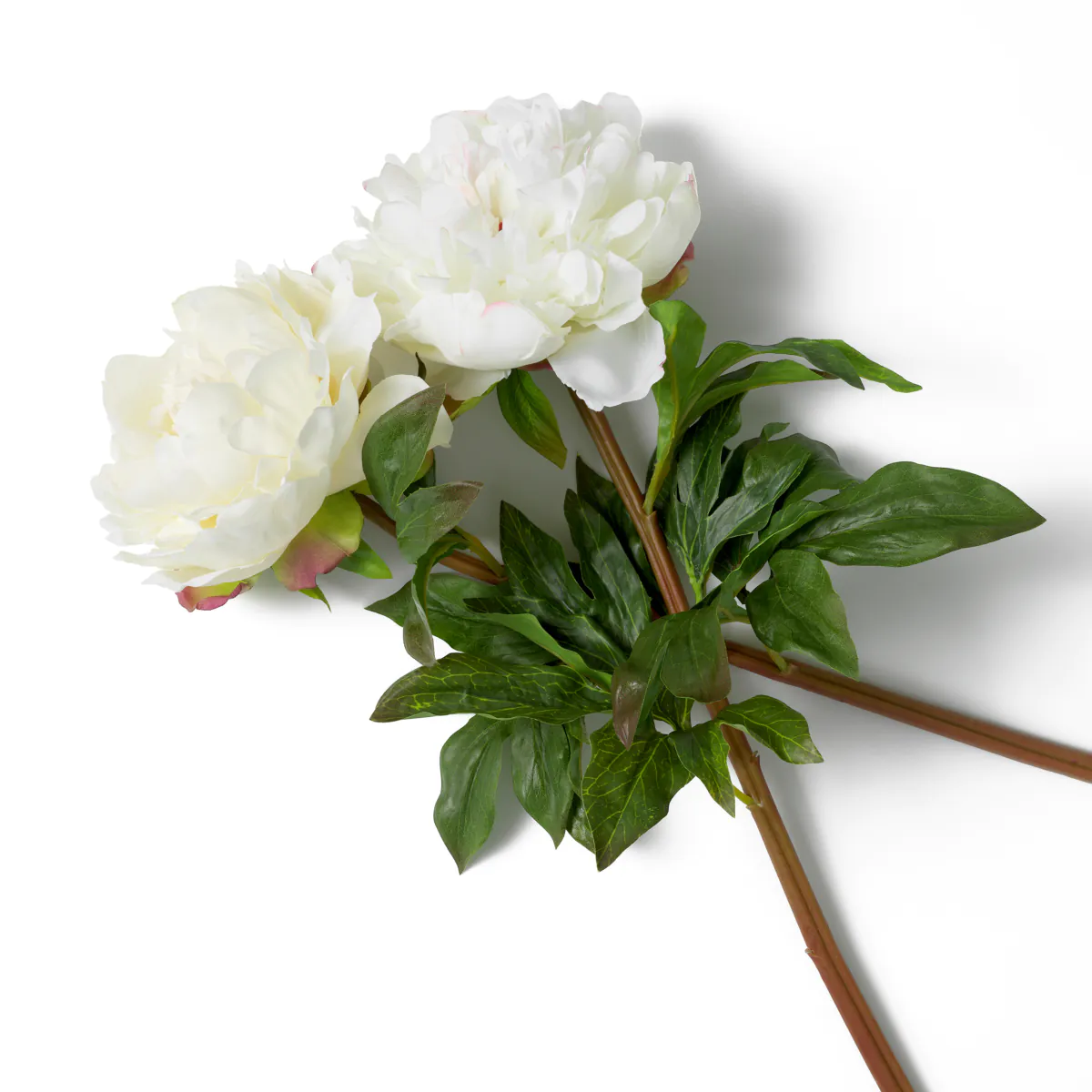 Bouquet Of Peonies Real Touch 48 pcs - Image 8