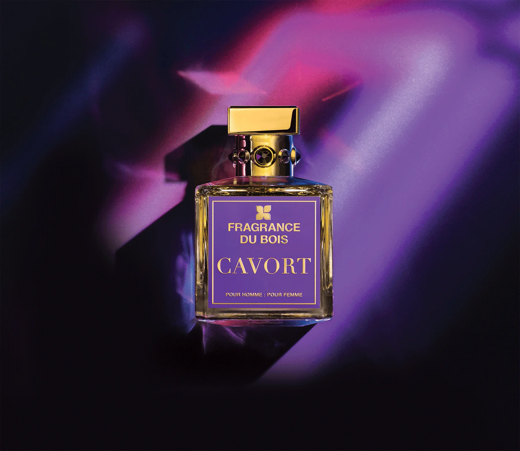 Cavort - Image 2