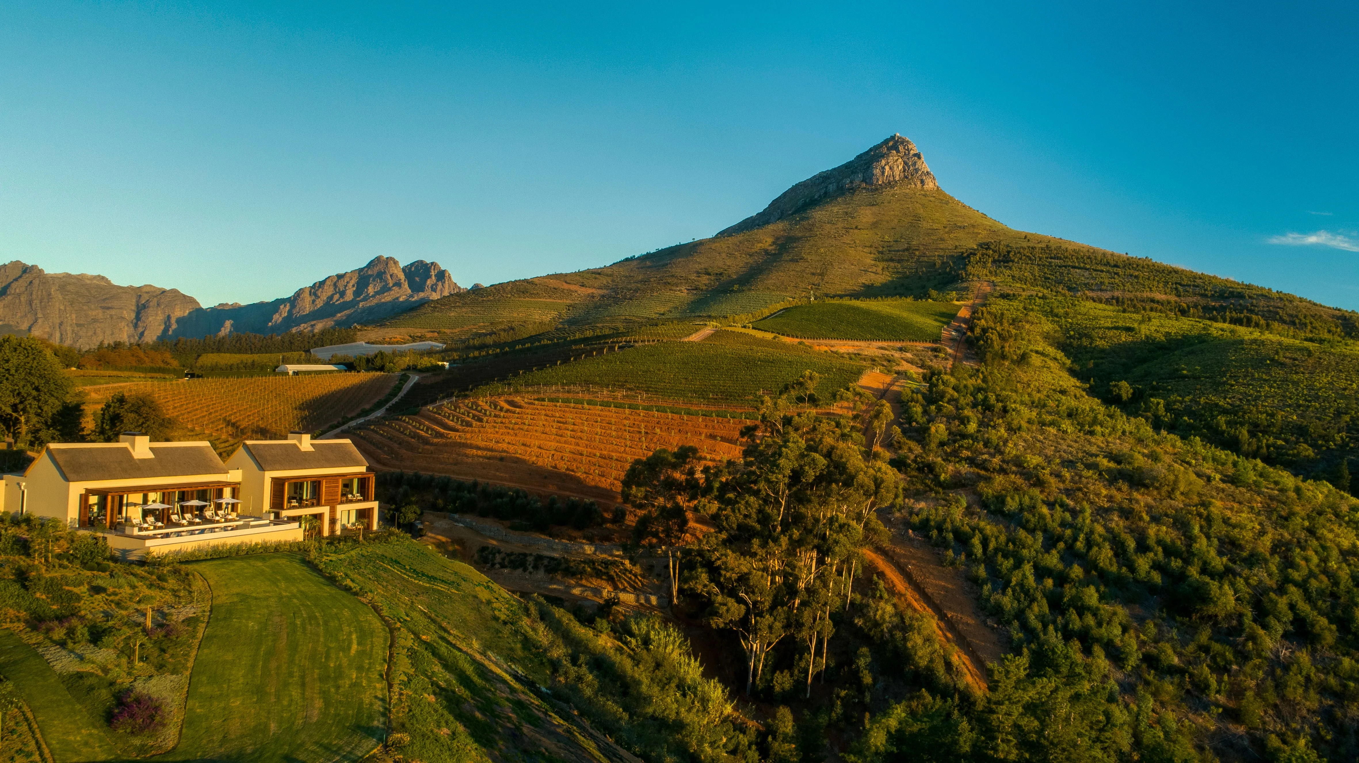 Delaire Graff Owner's Villa - Stellenbosch, Winelands - Image 10
