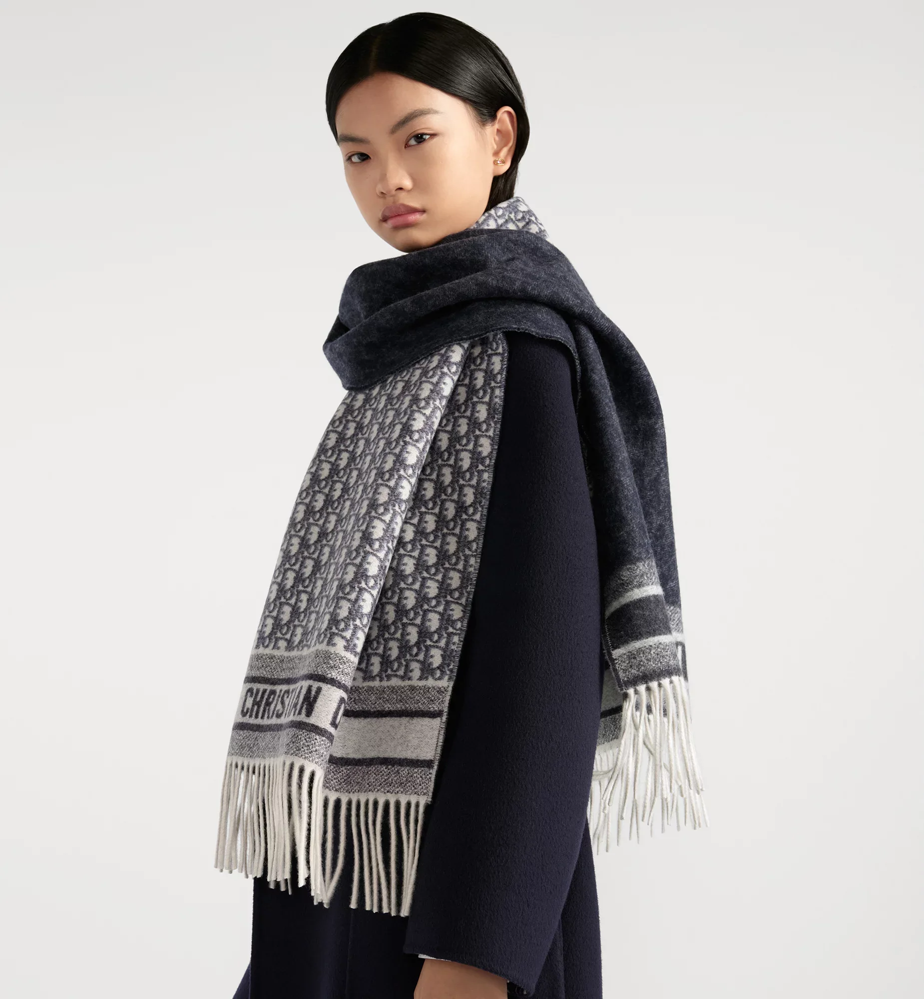 Dior Oblique Scarf - Image 11