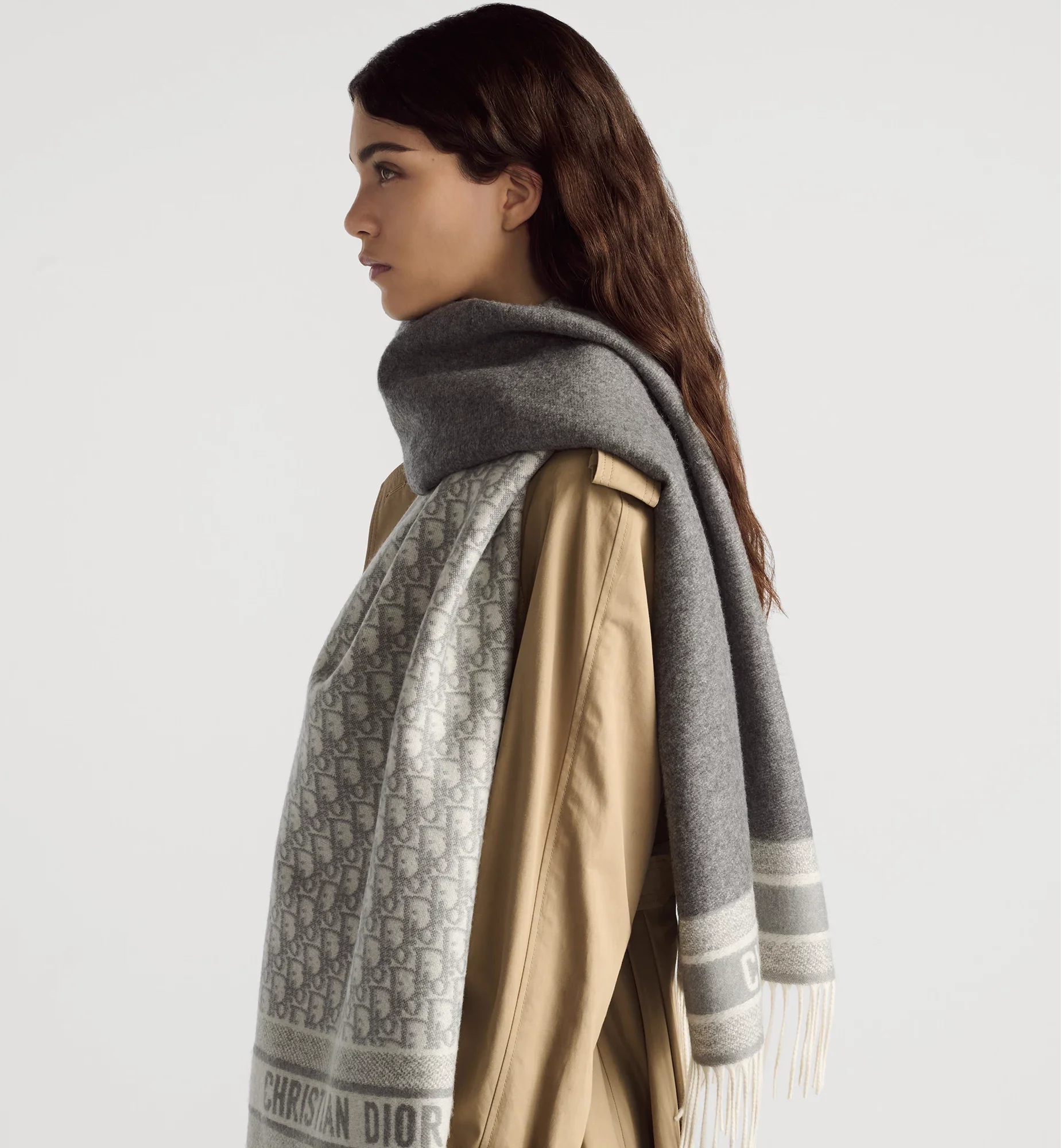 Dior Oblique Scarf - Image 13