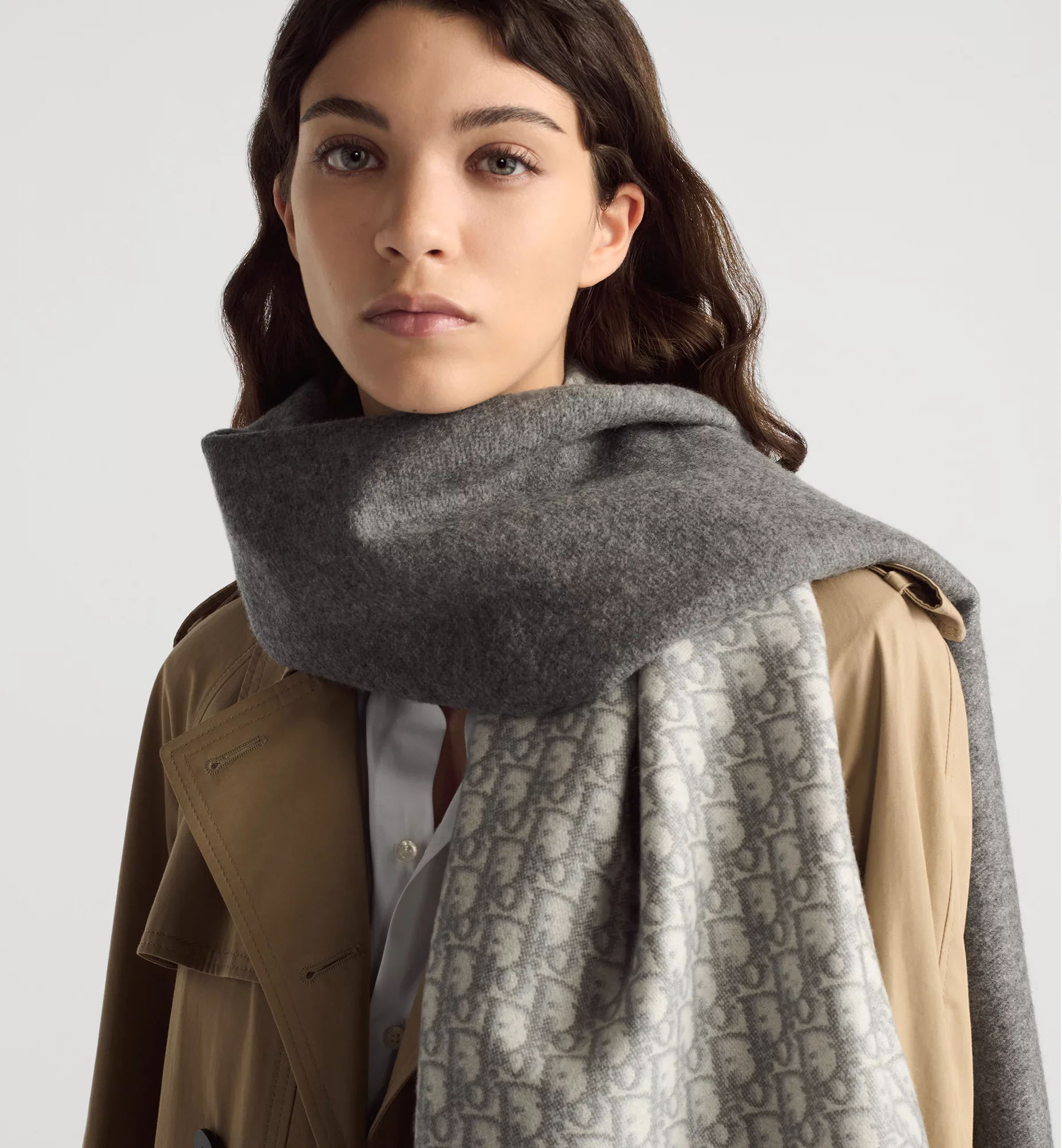 Dior Oblique Scarf - Image 14