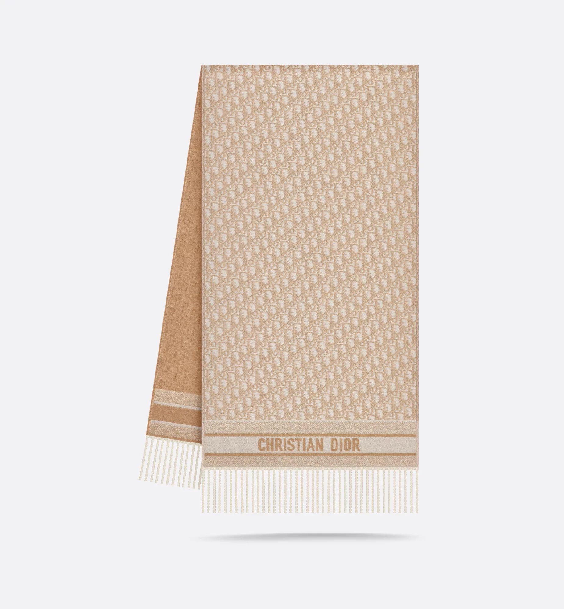 Dior Oblique Scarf - Image 17