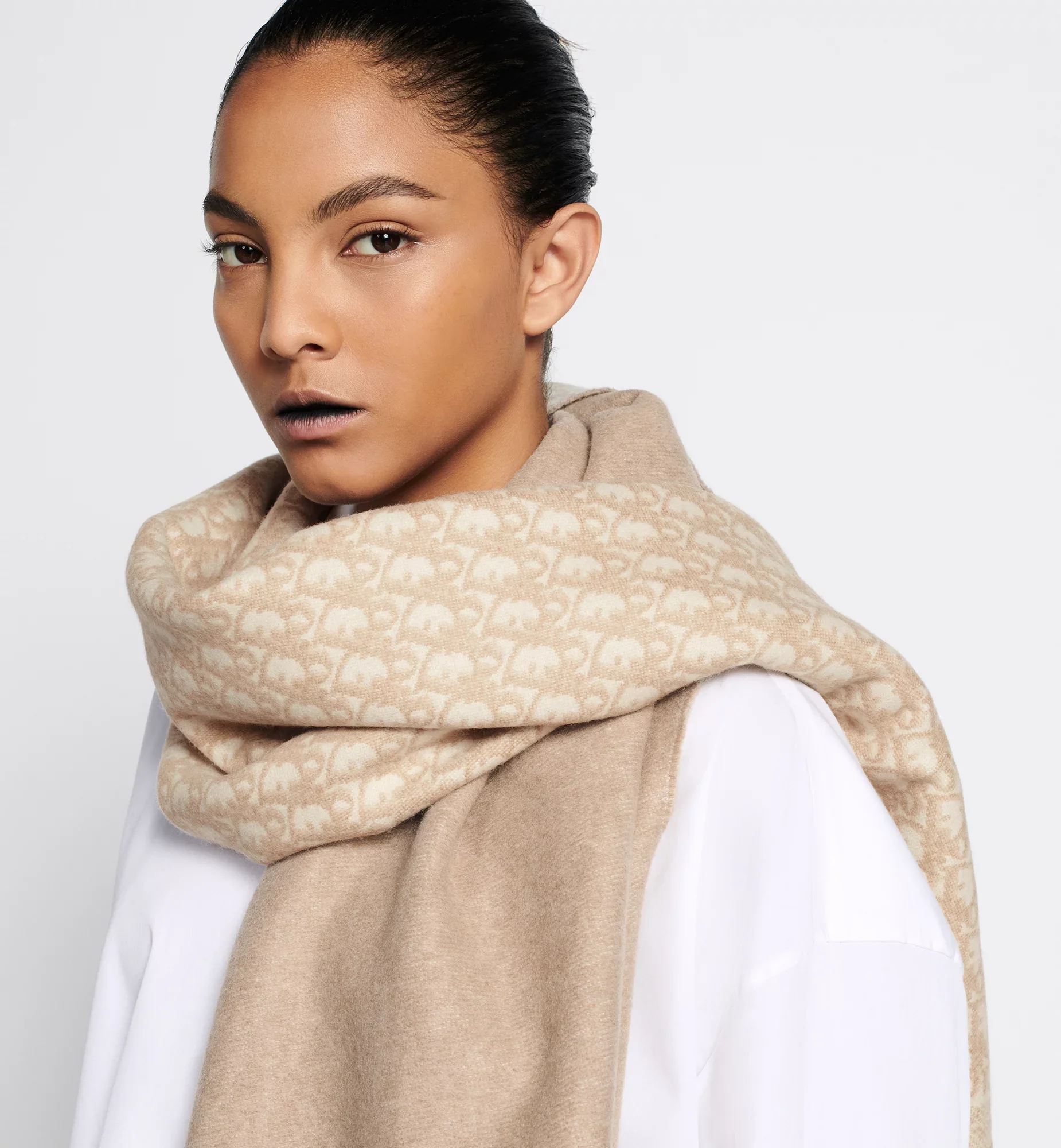 Dior Oblique Scarf - Image 19