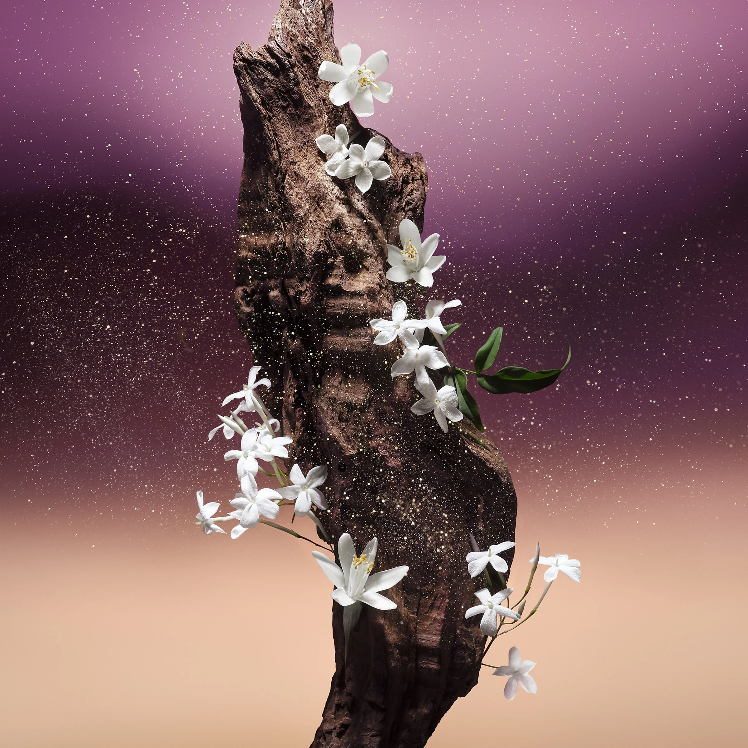 Fleur Du Desert - Image 3
