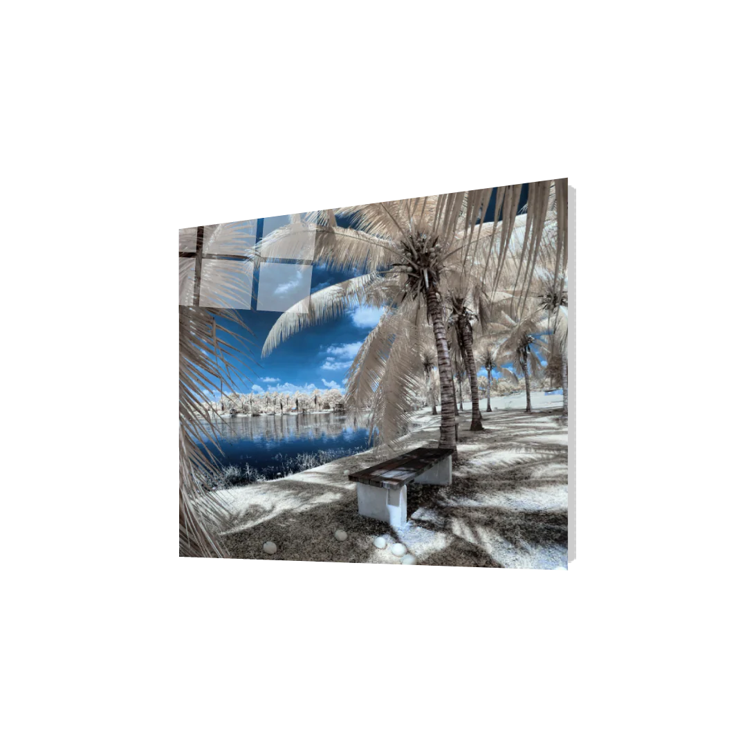 Infrared 5 - Image 5