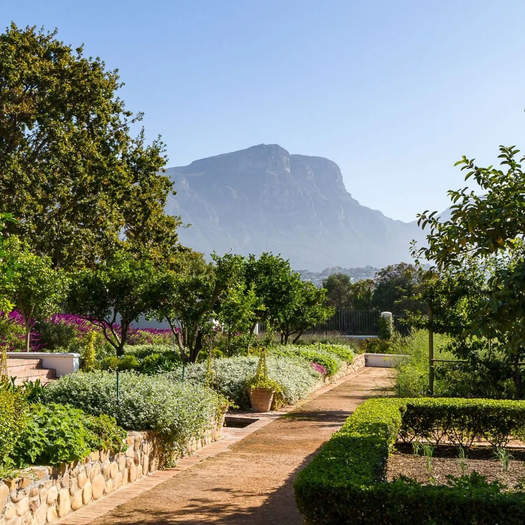 Lapiz Lazuli - Constantia, Cape Town - Image 12
