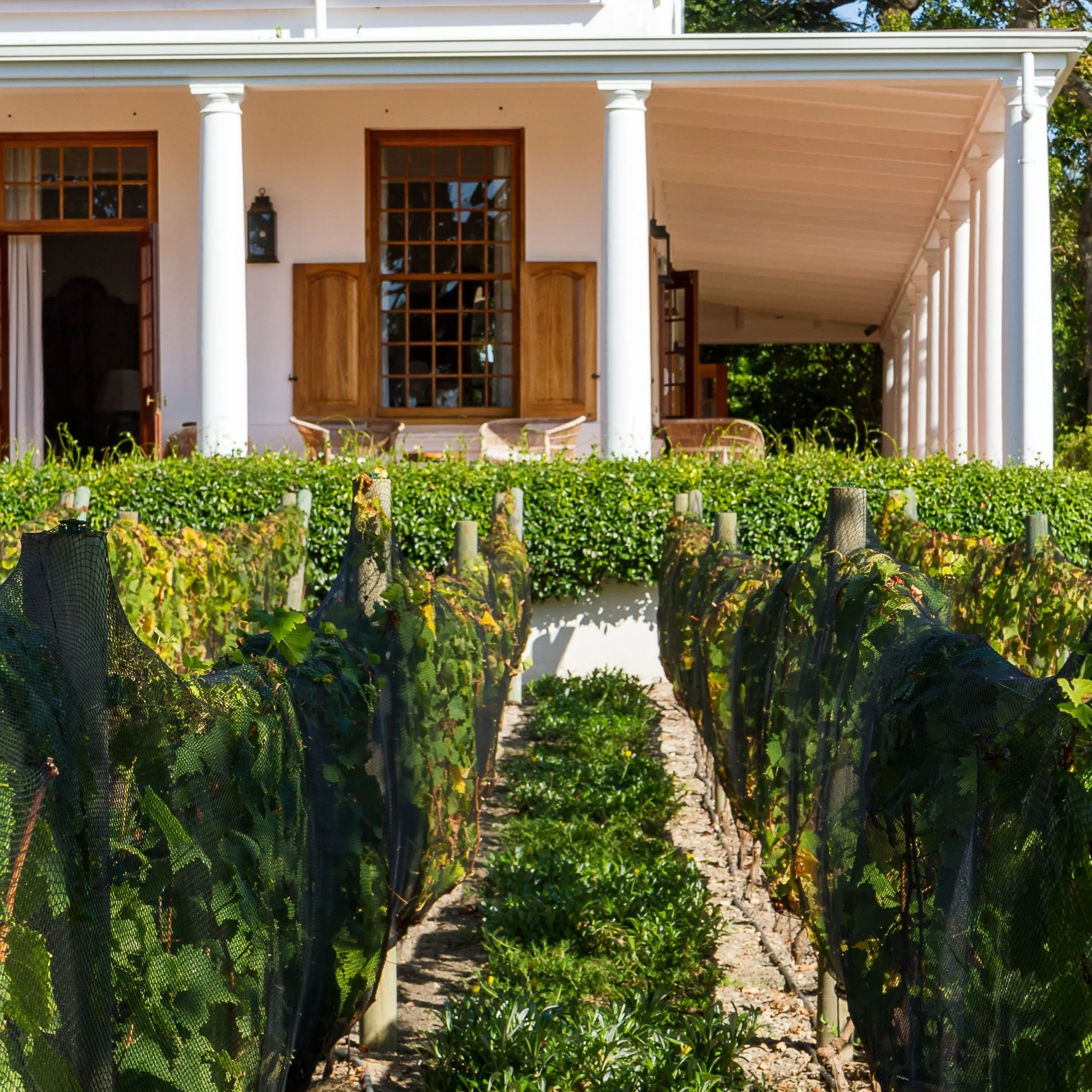 Lapiz Lazuli - Constantia, Cape Town - Image 9