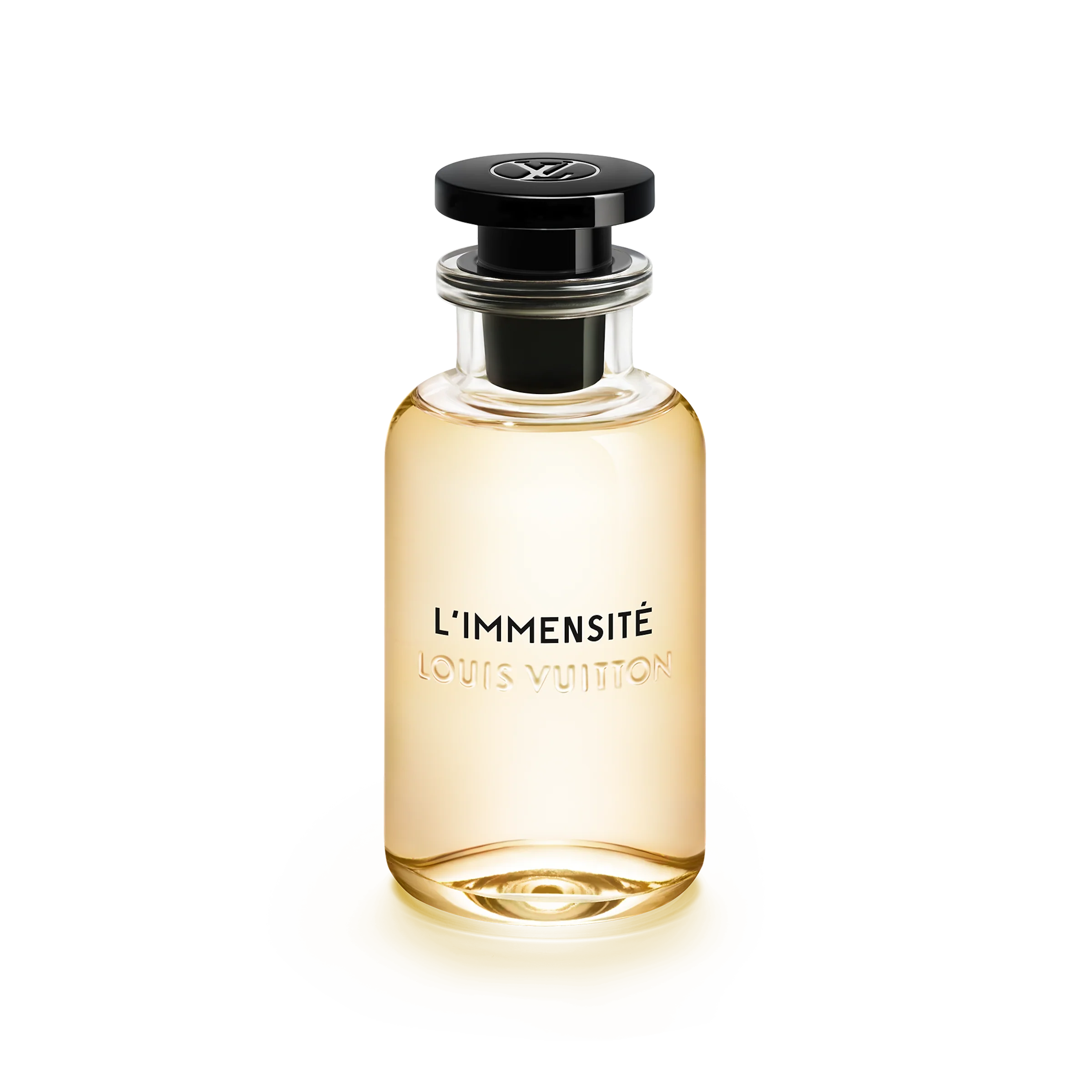 L'Immensité
