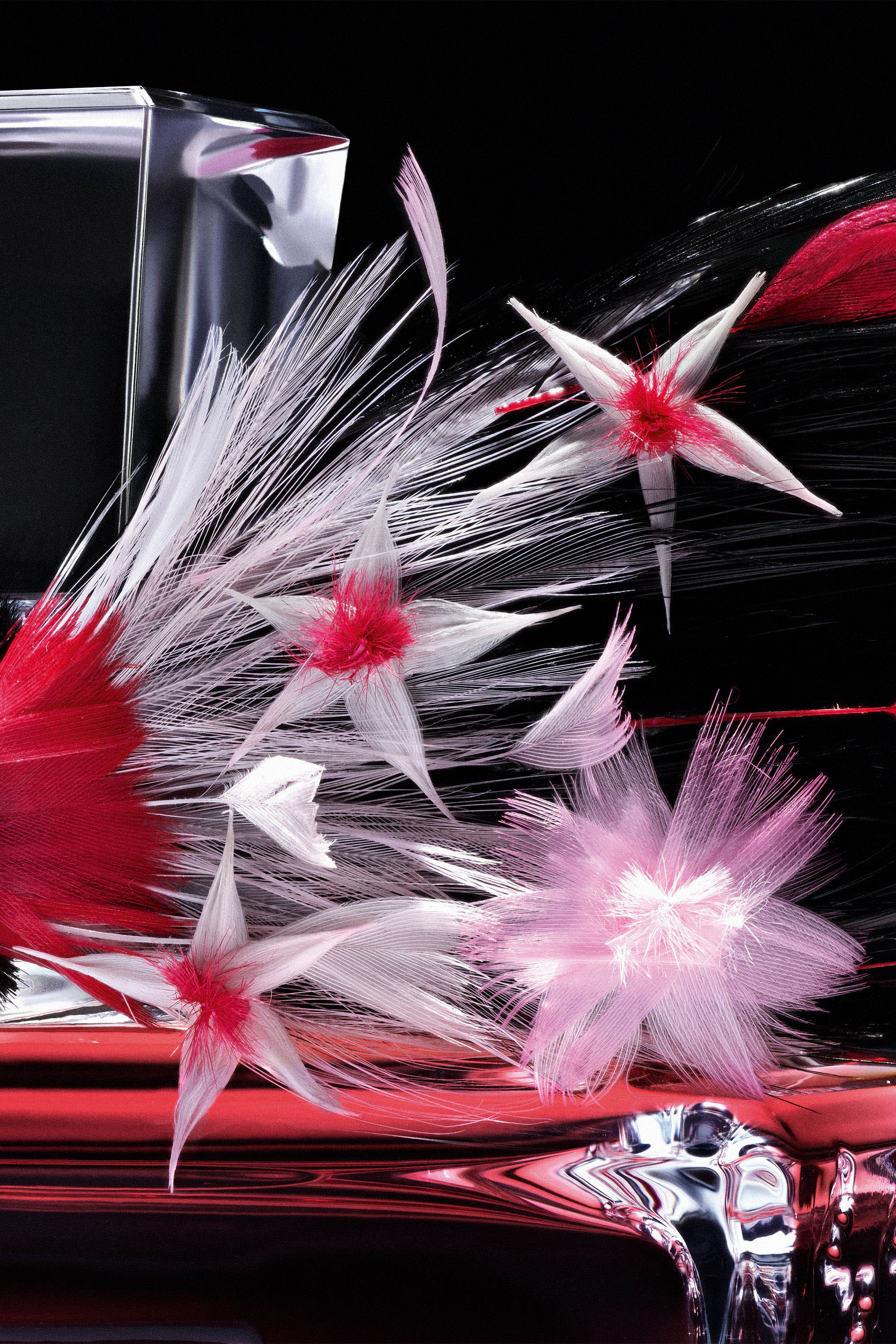 Miss Dior by Maison Février - Image 3