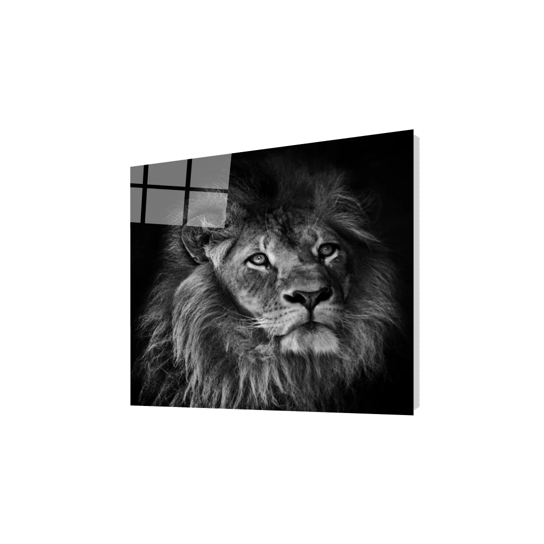 Monochrome 5
