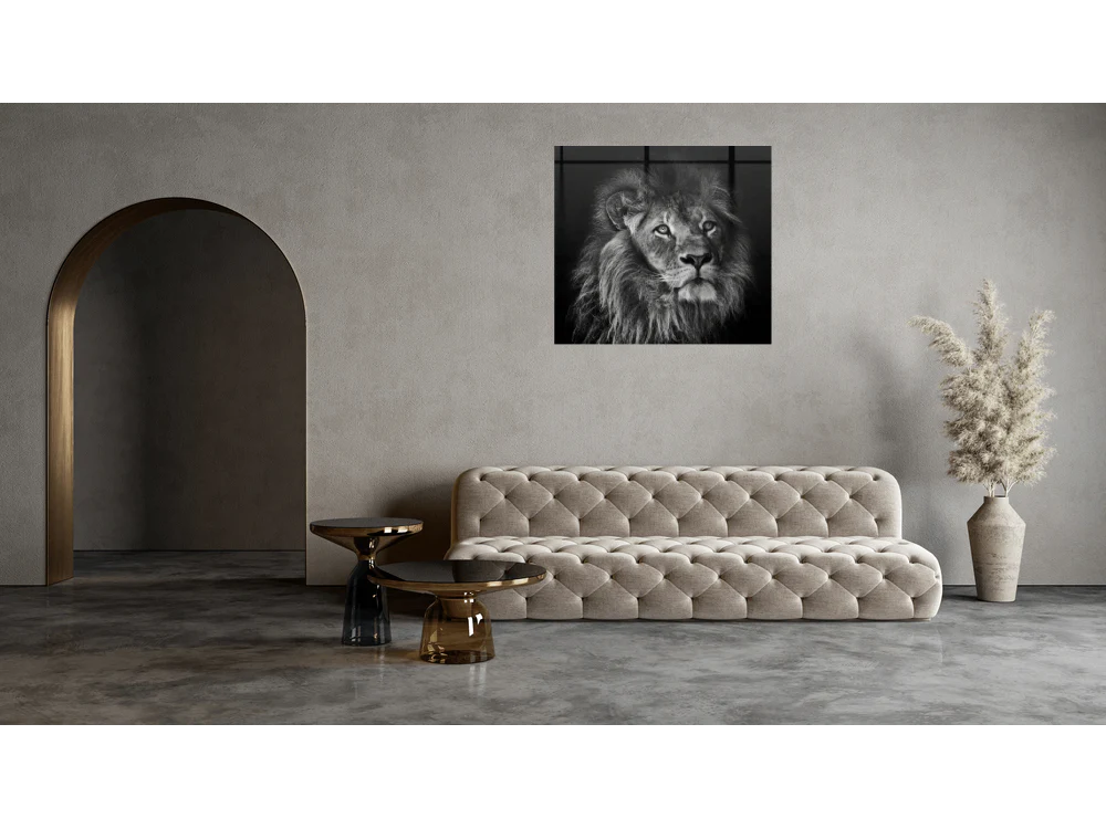 Monochrome 5 - Image 4