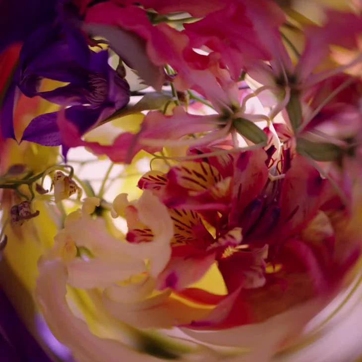 Myriad Fragrance - Image 6