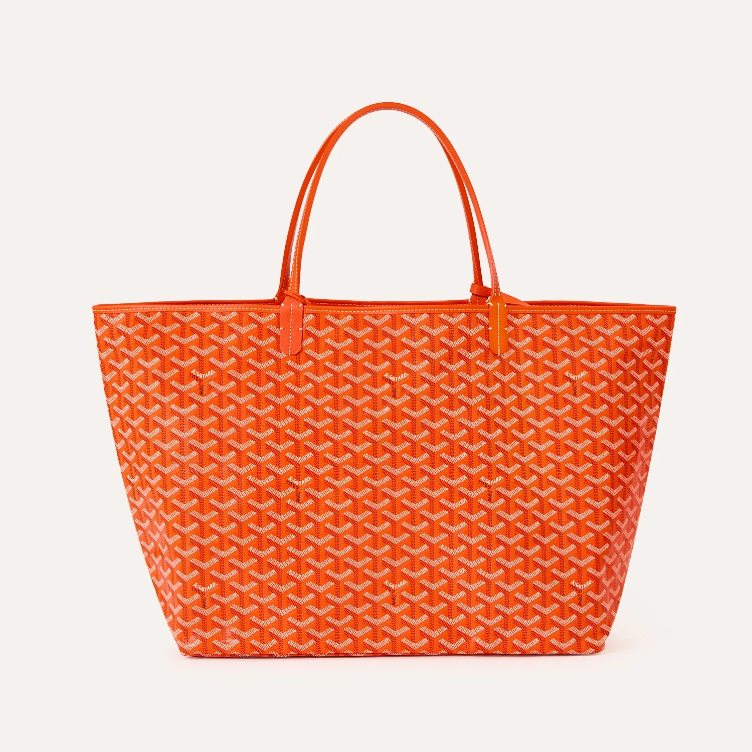 Saint Louis PM Bag - Image 12