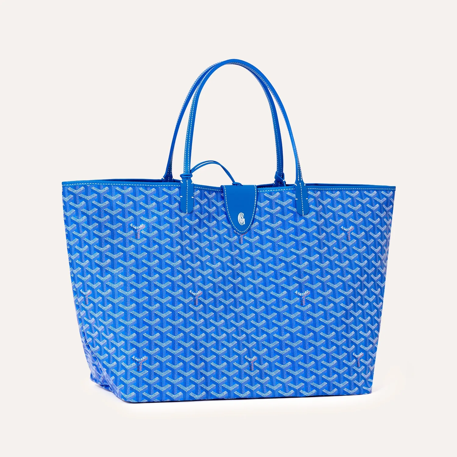 Saint Louis PM Bag - Image 19