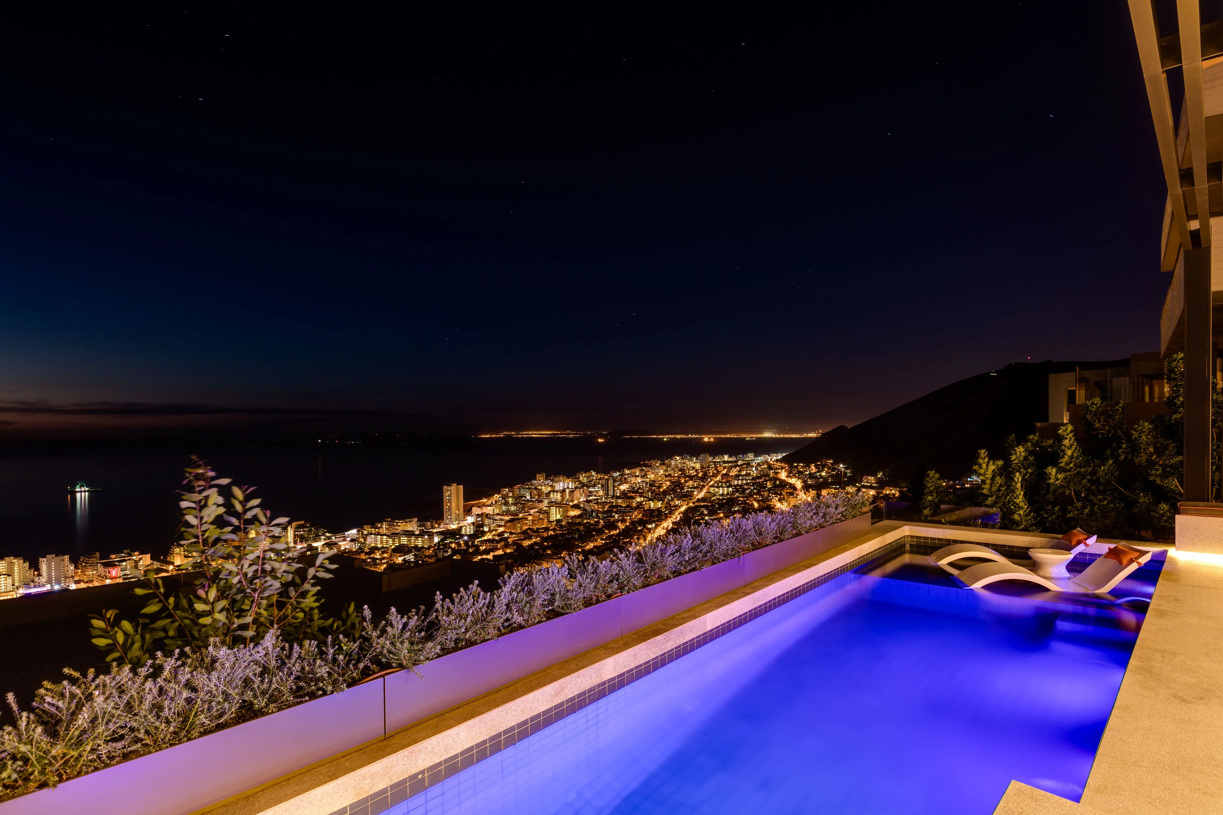 Sealion - Fresnaye, Cape Town - Image 16