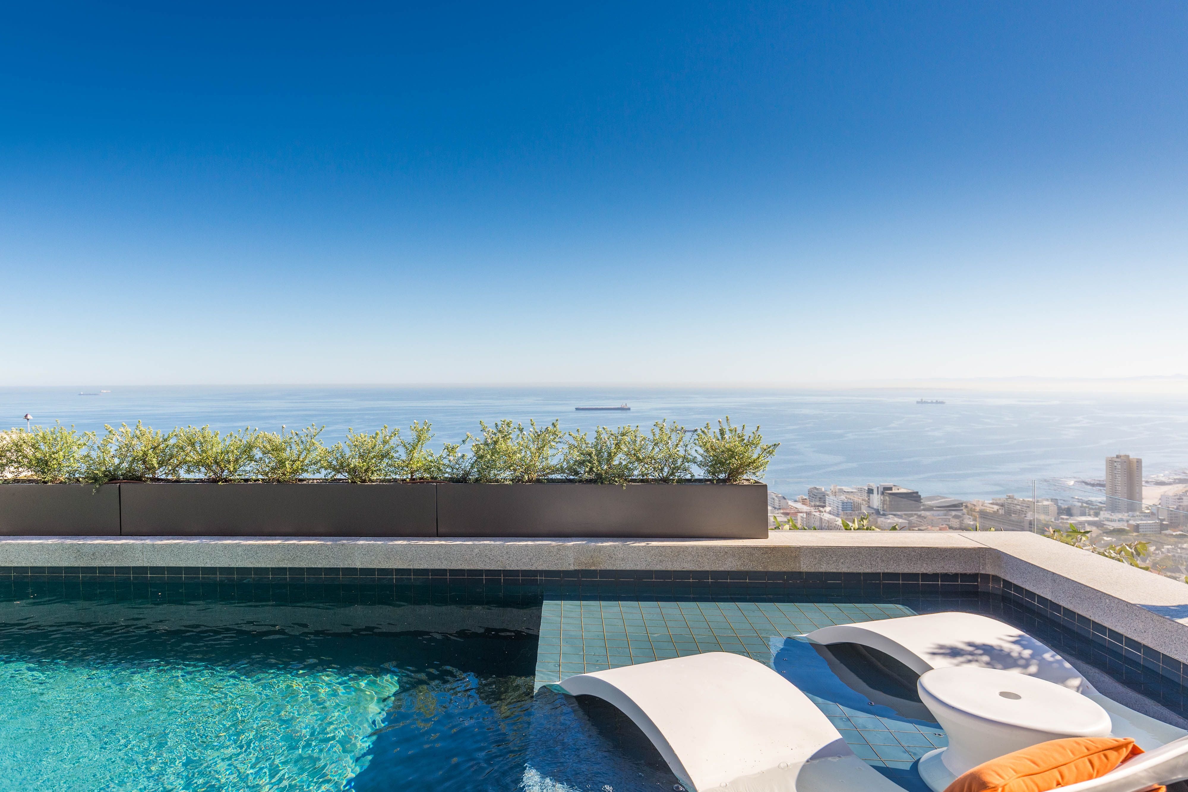 Sealion - Fresnaye, Cape Town - Image 17