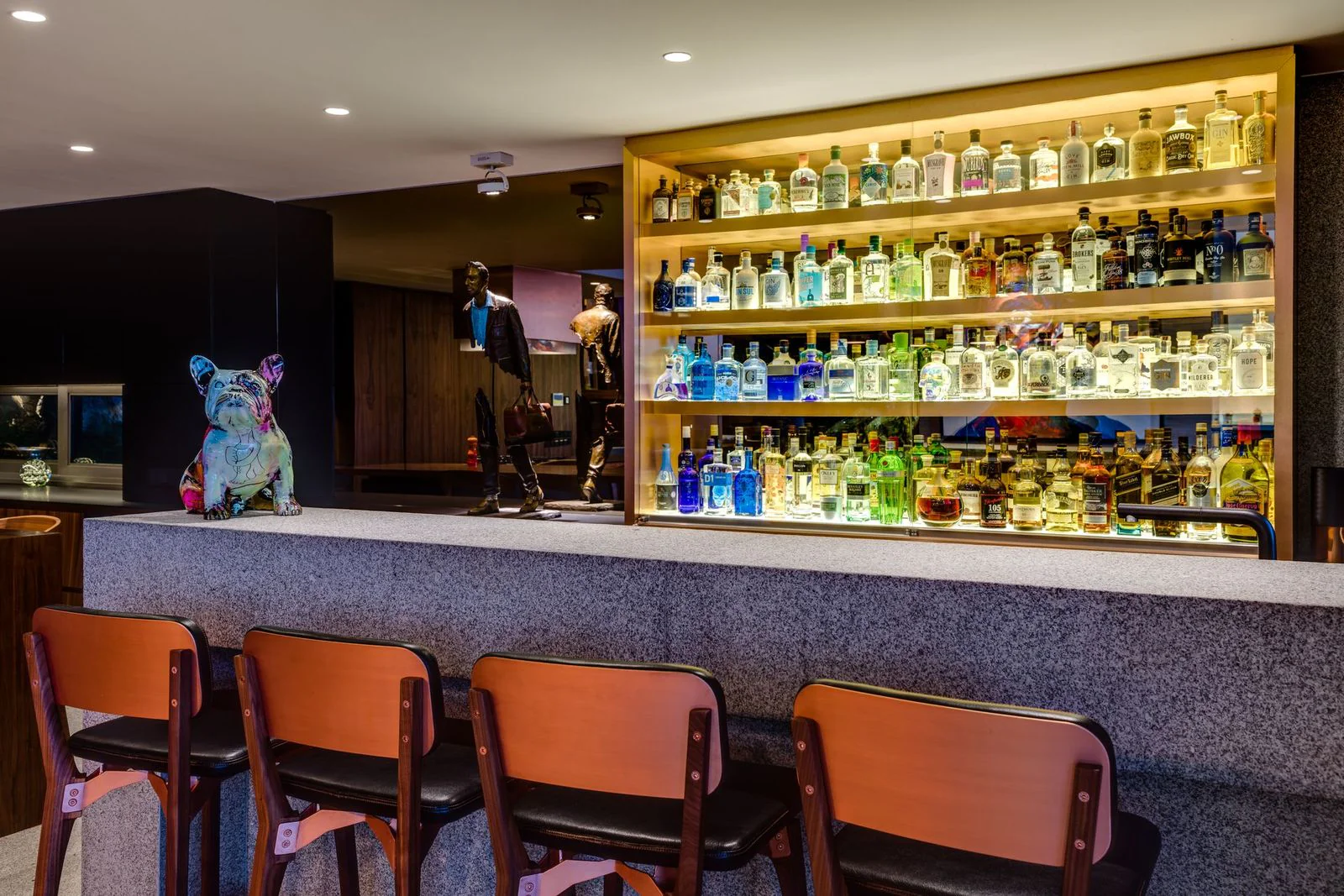 Sealion - Fresnaye, Cape Town - Image 6