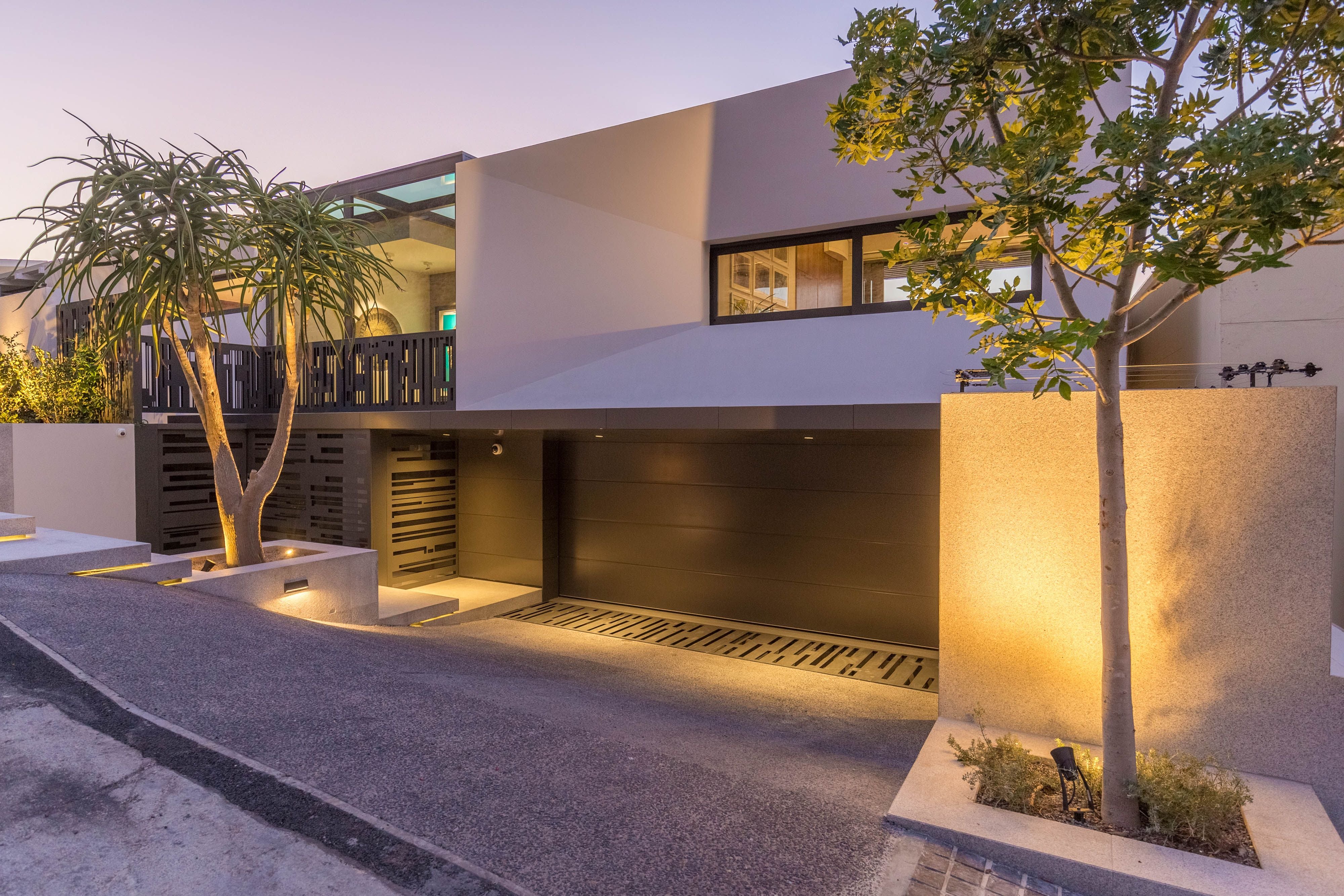 Sealion - Fresnaye, Cape Town - Image 9