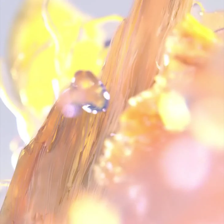 Symphony - Image 6