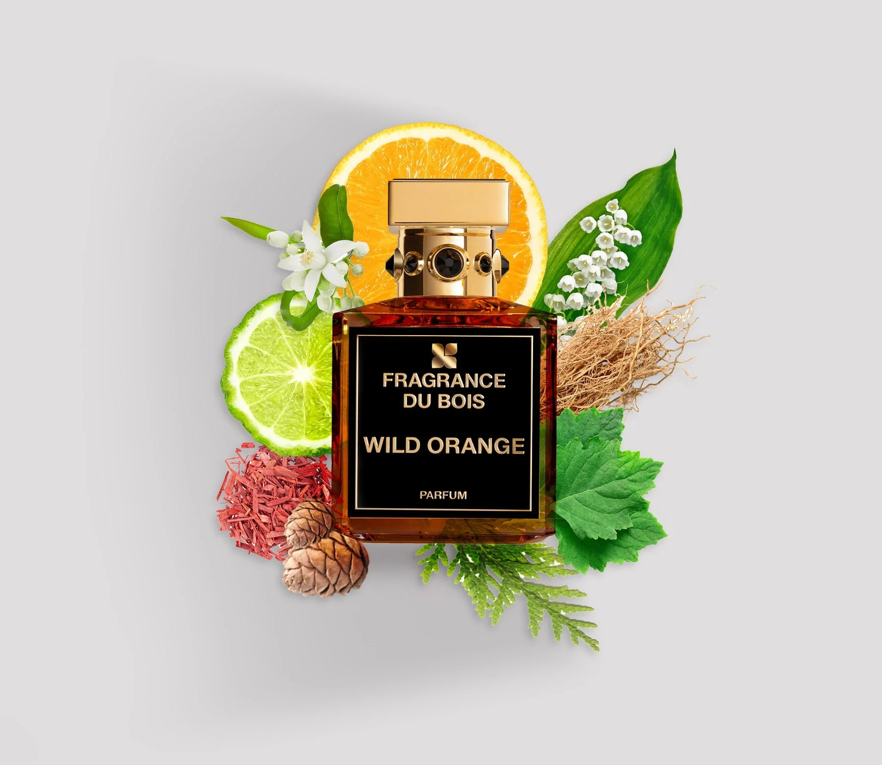 Wild Orange - Image 3